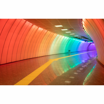 RGBW, RGBTW & CCT - Coloured LED Strips Available at LEDSA!